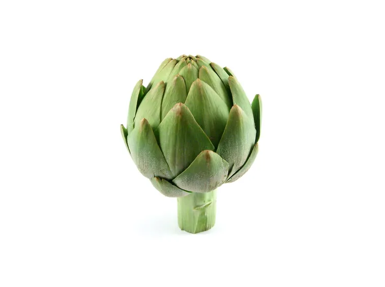 carciofo