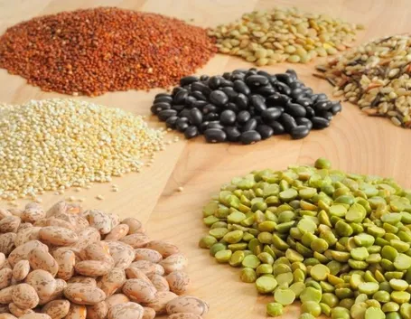 Proteine vegetali