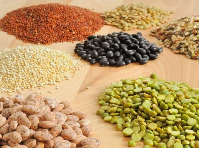 Proteine vegetali