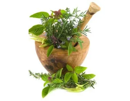 piante medicinali