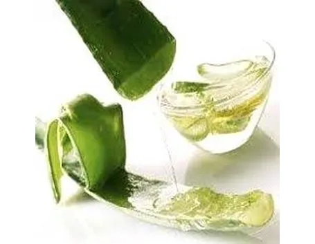 Aloe succo