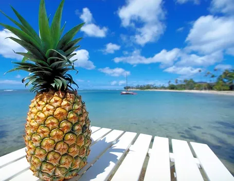 ananas