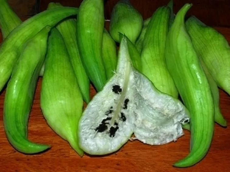 Primo piano dei frutti di caigua
