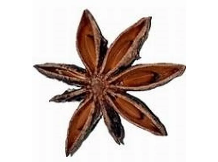 piante medicinali - anice stellato