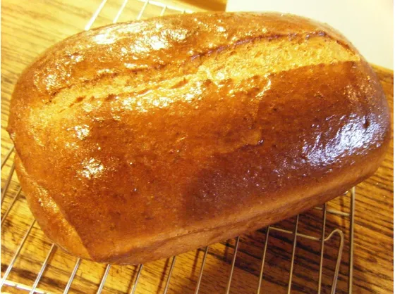 Ricette miele