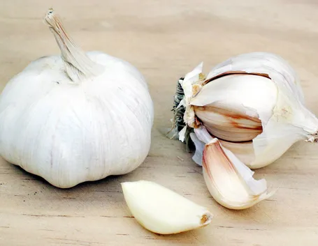 Cancro al polmone