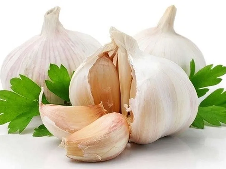 Micosi