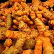 Curcuma