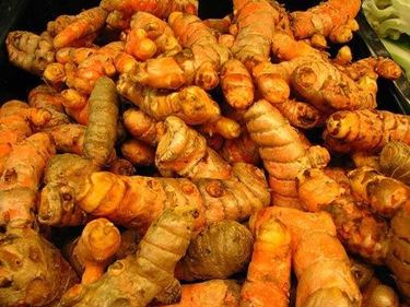 Curcuma