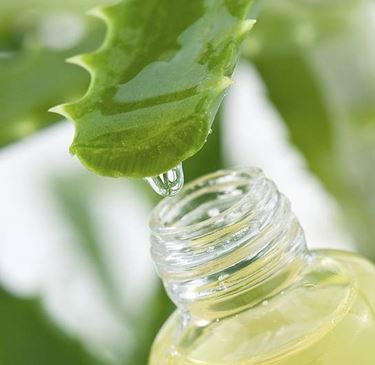 Aloe gel