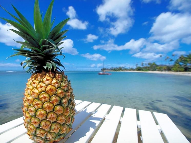 ananas