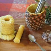 gambo di ananas