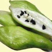 caigua
