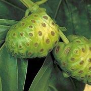 Succo di noni