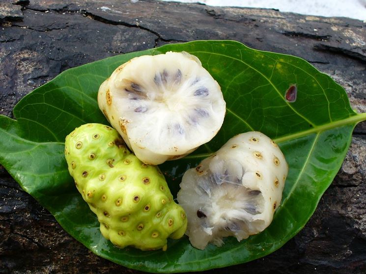 Succo di noni